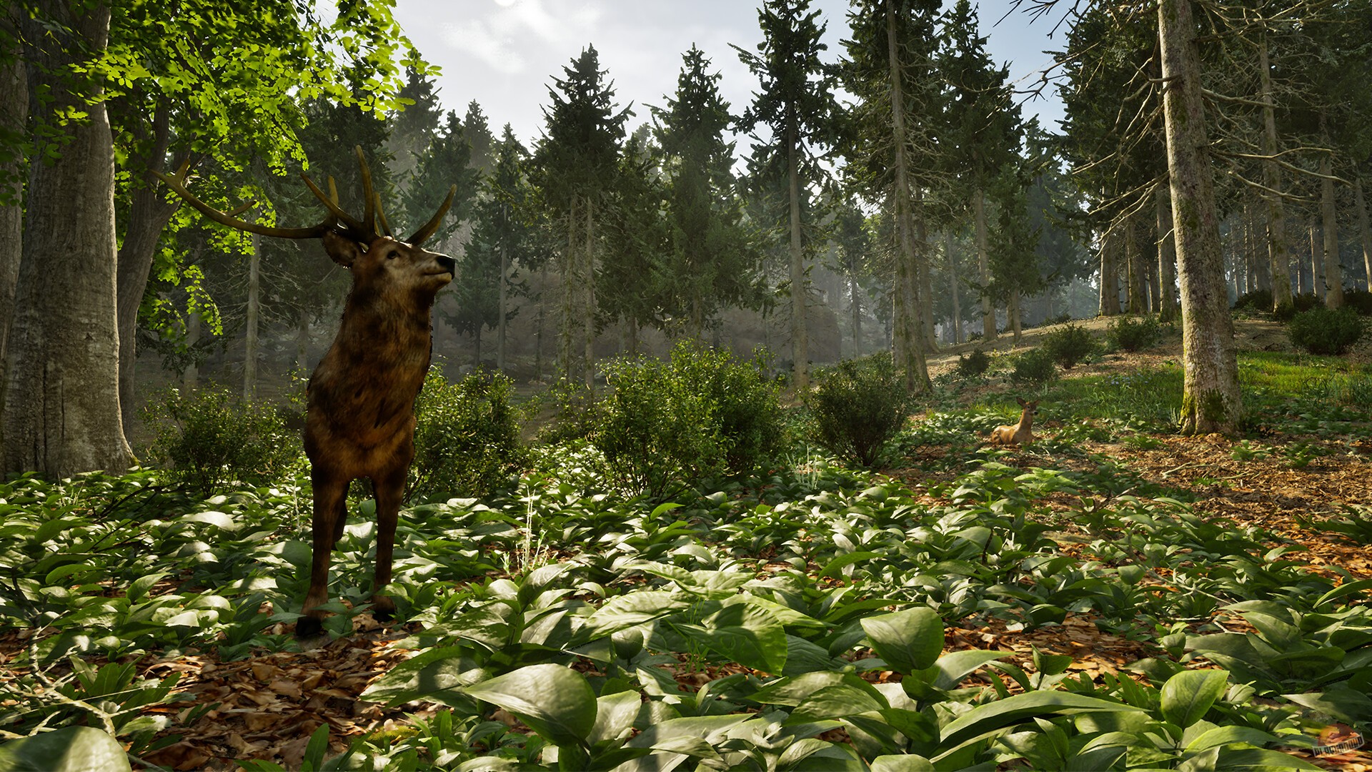 Скриншот из игры Park Ranger Simulator - 4