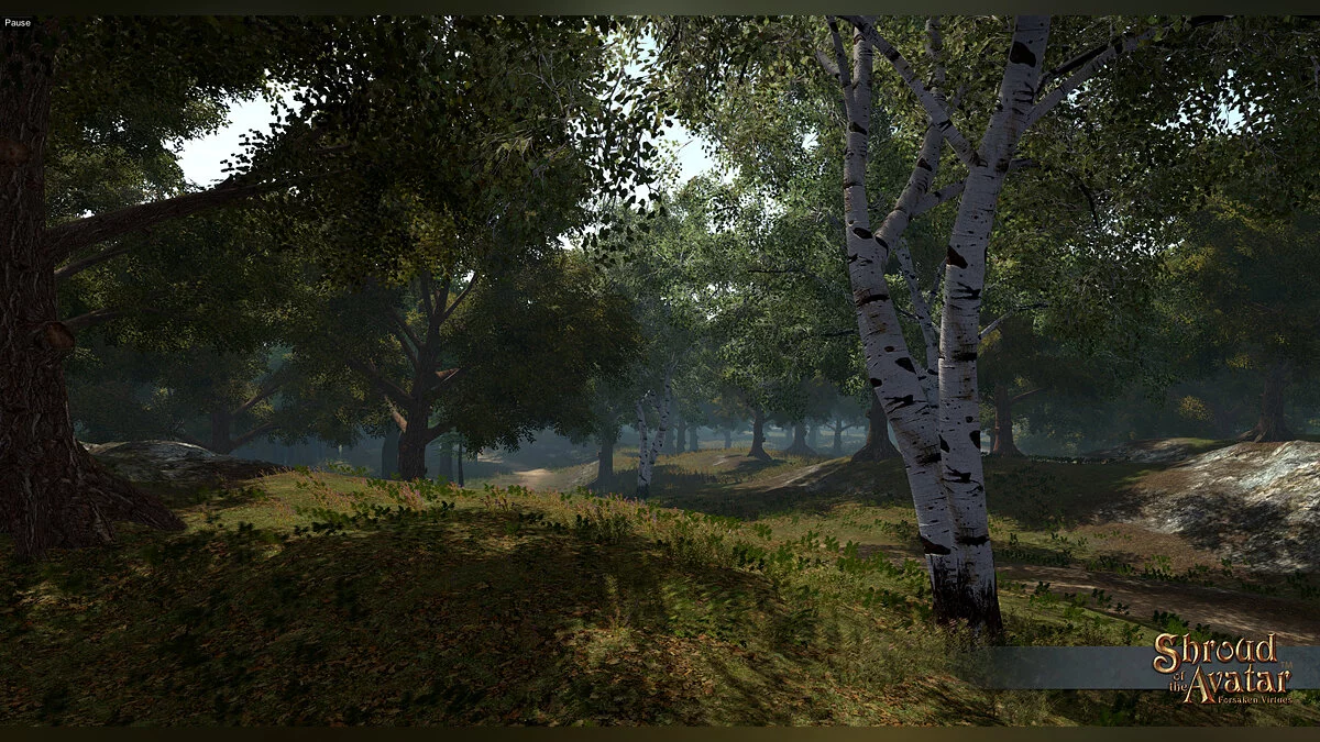 Скриншот из игры Shroud of the Avatar: Forsaken Virtues - 4