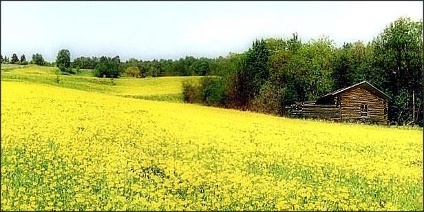 Скриншот из игры Territory - 7