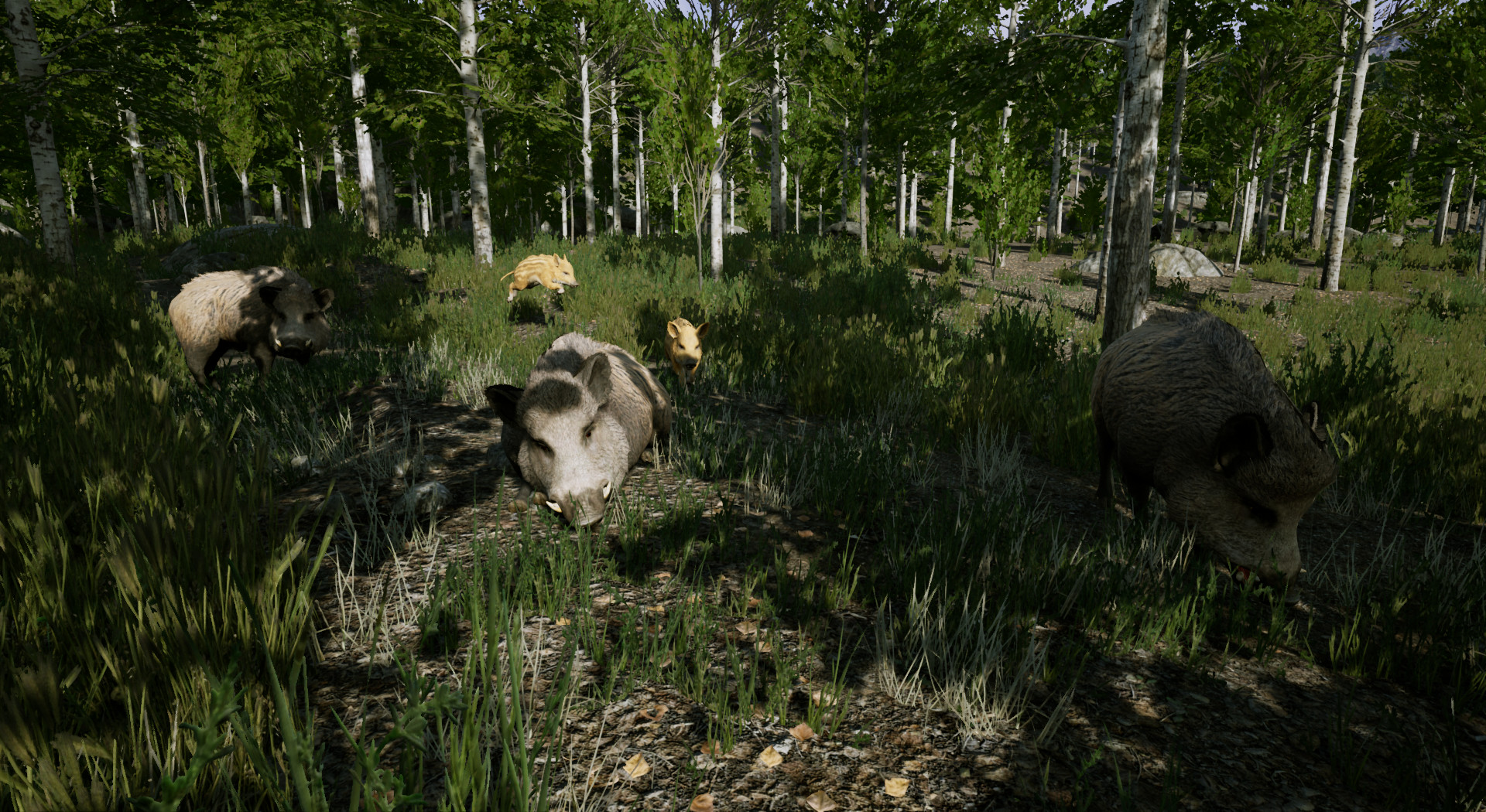 Скриншот из игры Territory - 1