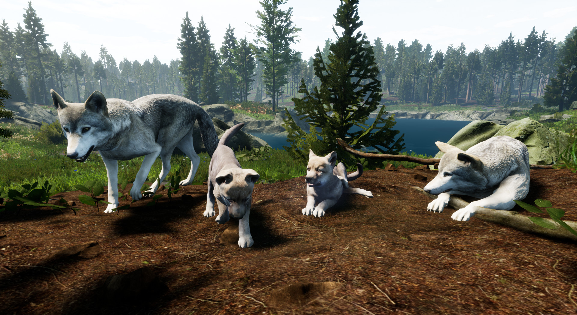 Скриншот из игры Territory - 2