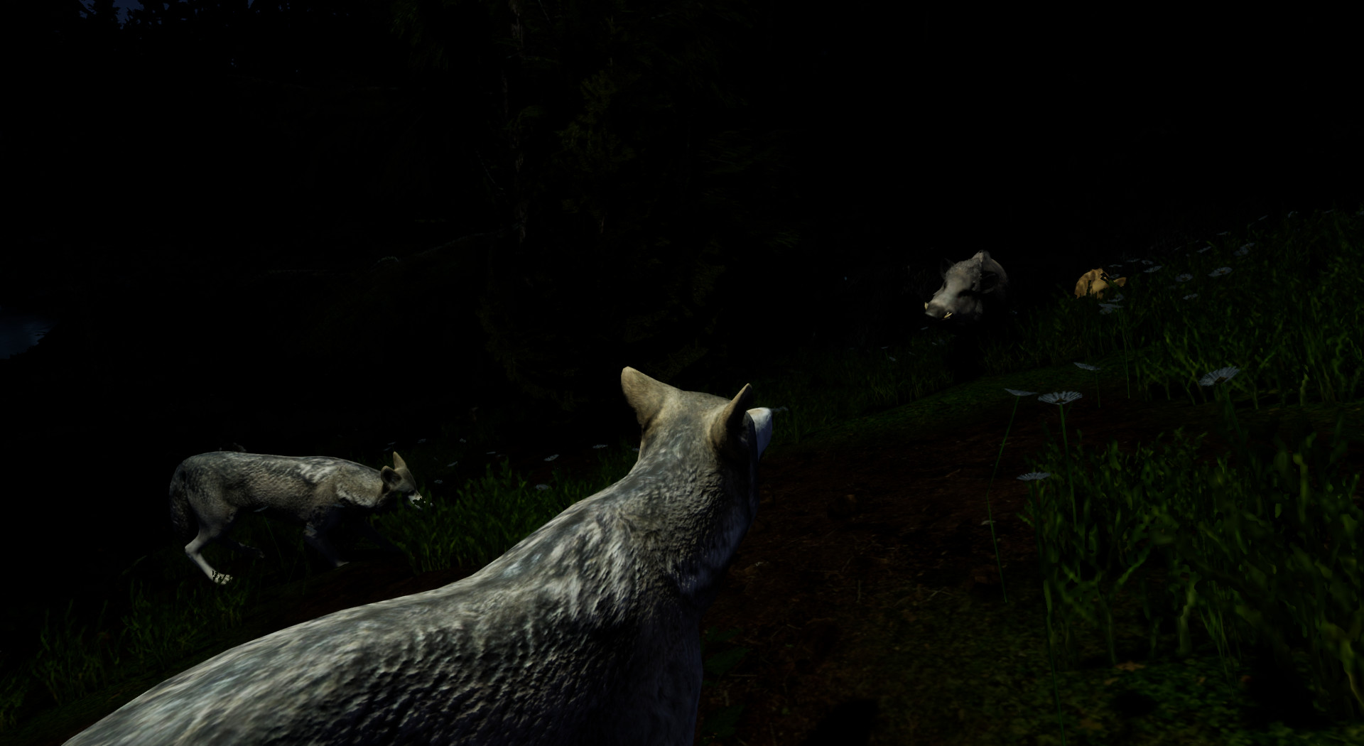 Скриншот из игры Territory - 4