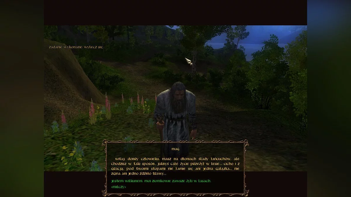 Скриншот из игры Волкодав: Месть Серого Пса - 18