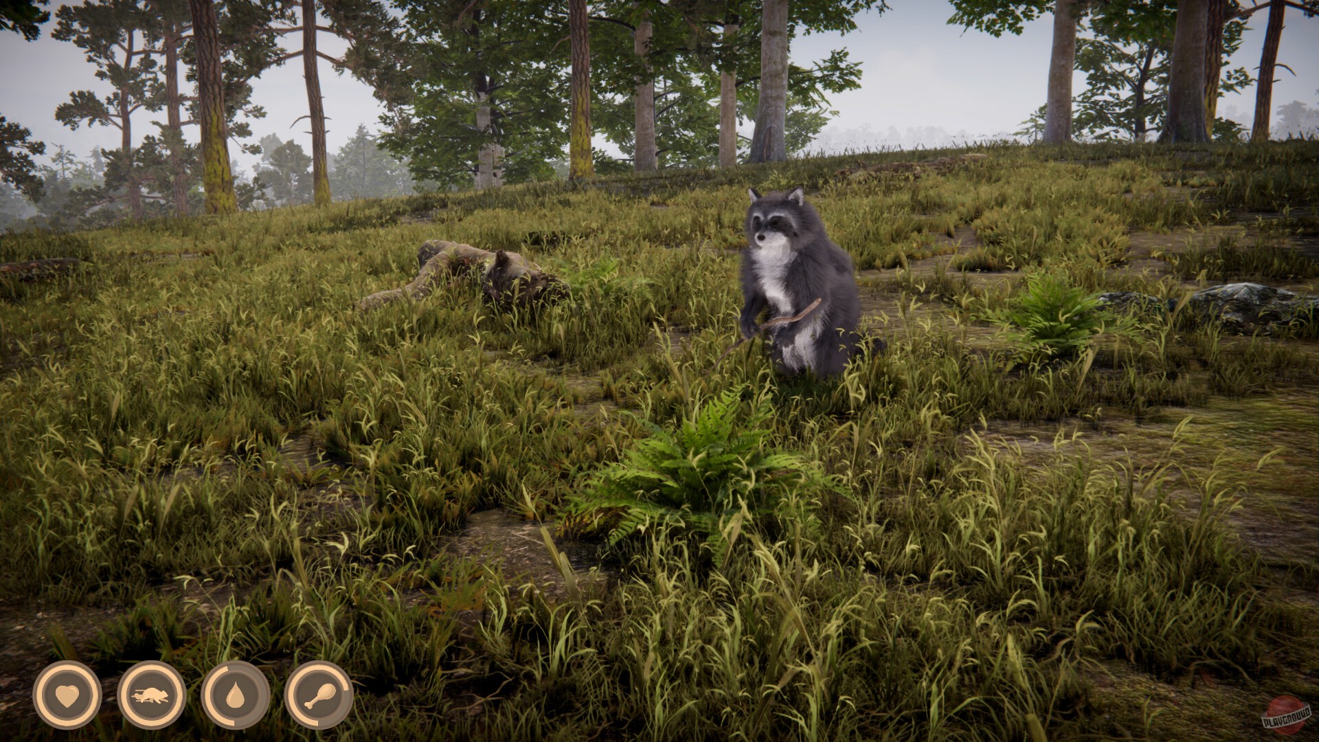 Скриншот из игры Twilight Tails - 2