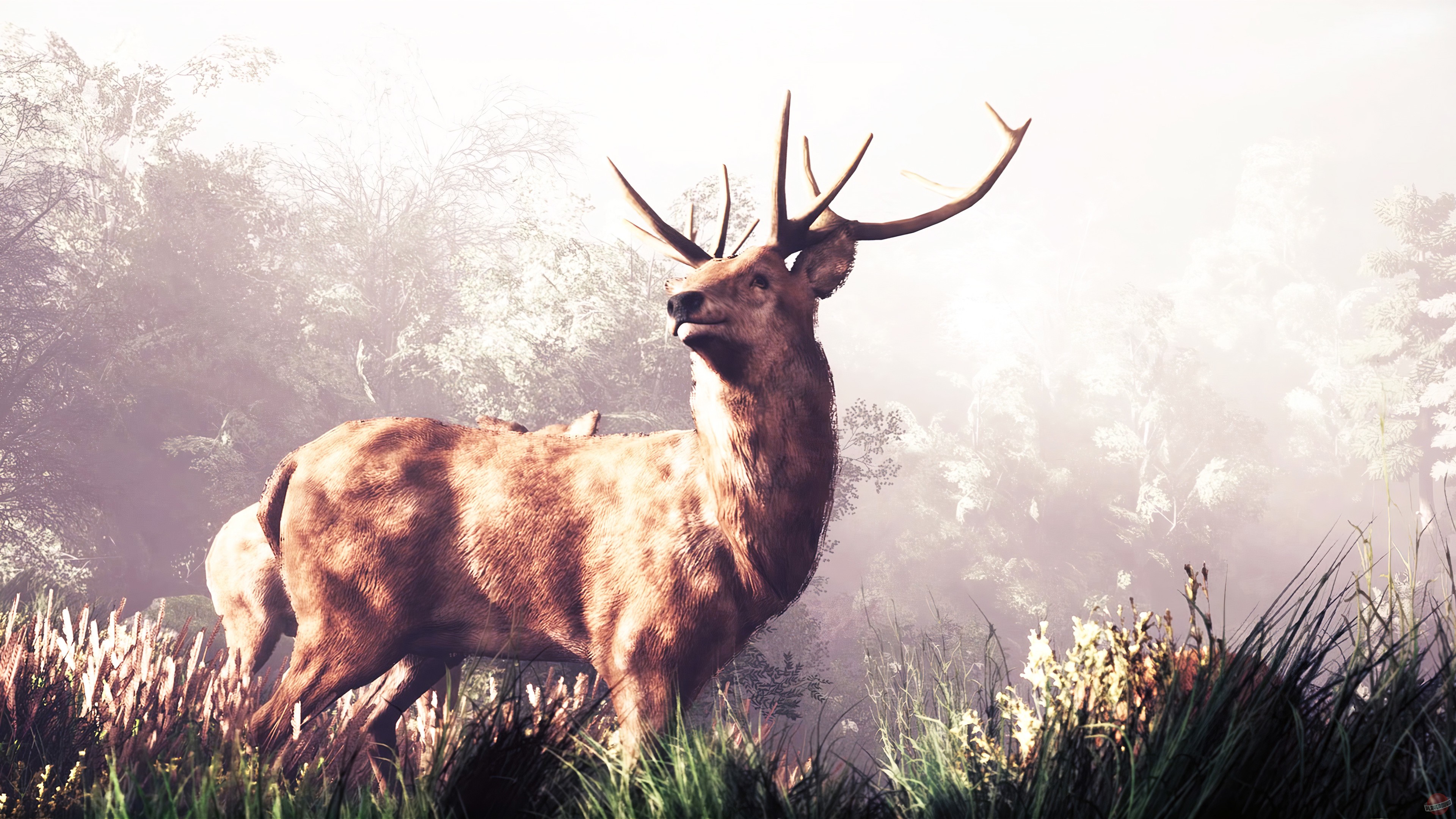 Скриншот из игры The House In The Hollow - 2