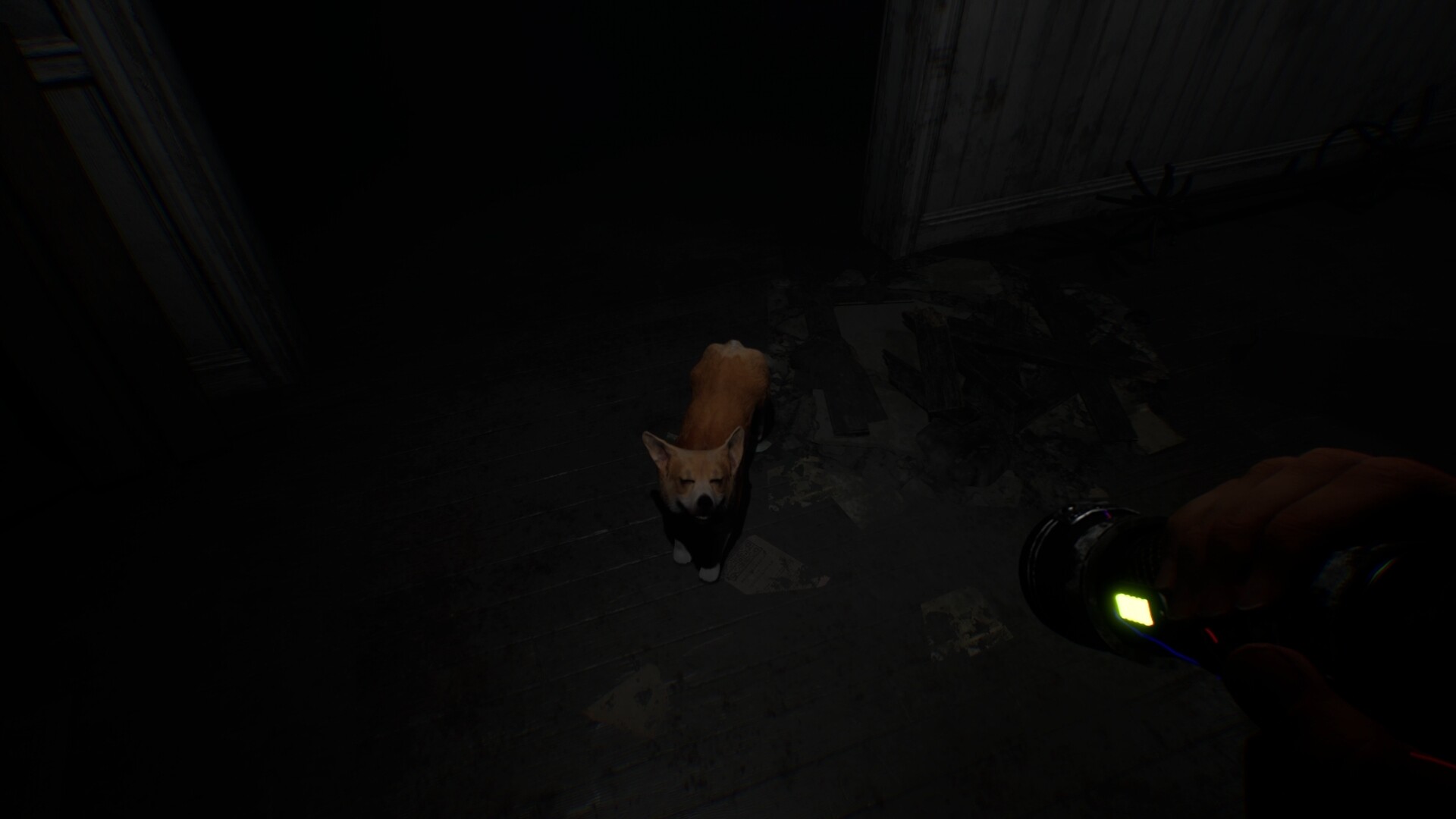 Скриншот из игры Project Unknown - 30