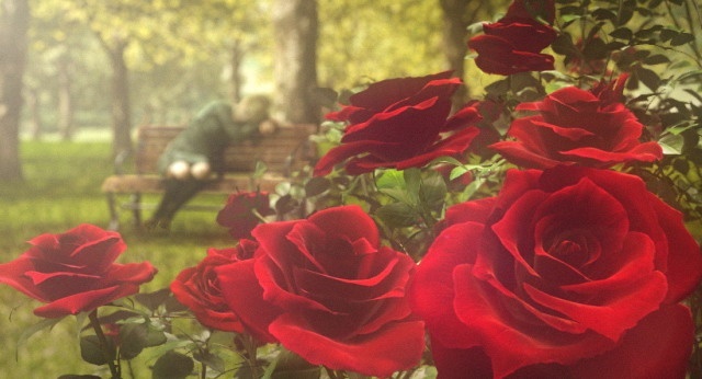 Скриншот из игры Rule of Rose - 44
