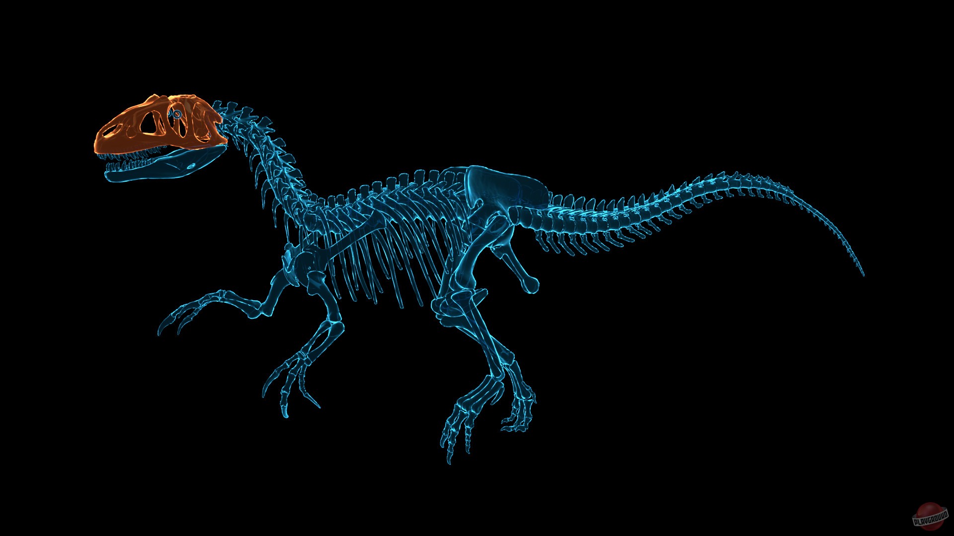 Скриншот из игры Dinosaur Fossil Hunter - 28