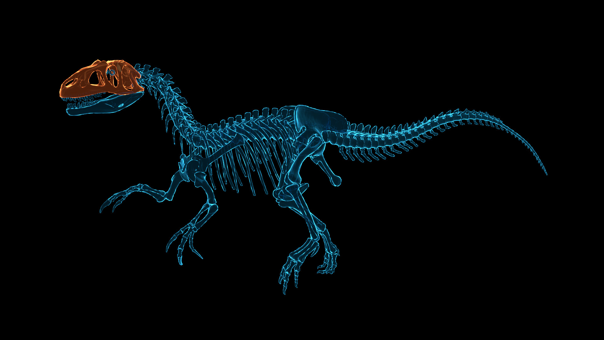 Скриншот из игры Dinosaur Fossil Hunter - 25