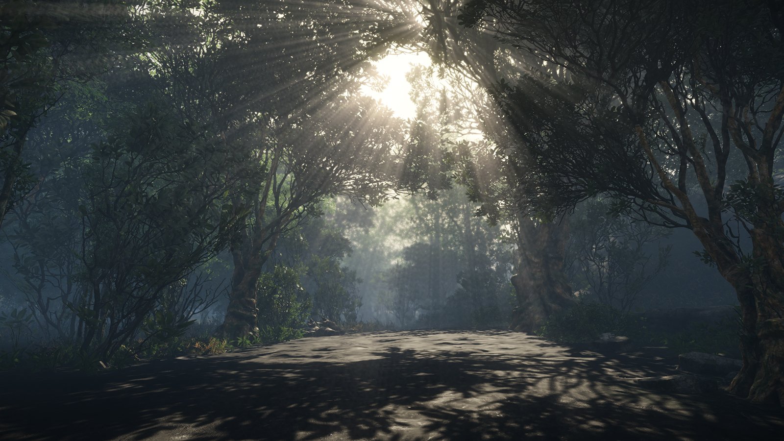 Скриншот из игры Find Out - 1