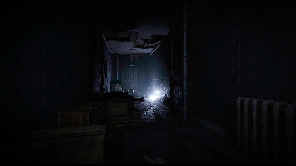 Скриншот из игры The Peterson Case - 9