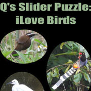 Обложка игры Q’s Slider Puzzle: iLove Birds