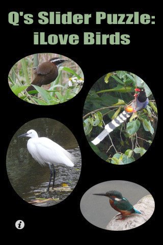 Скриншот из игры Q’s Slider Puzzle: iLove Birds - 1