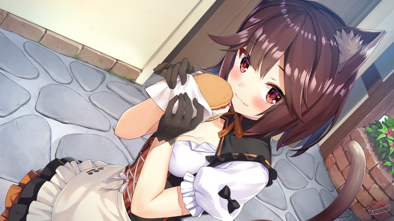 Скриншот из игры Fantasy Tavern Sextet - 8