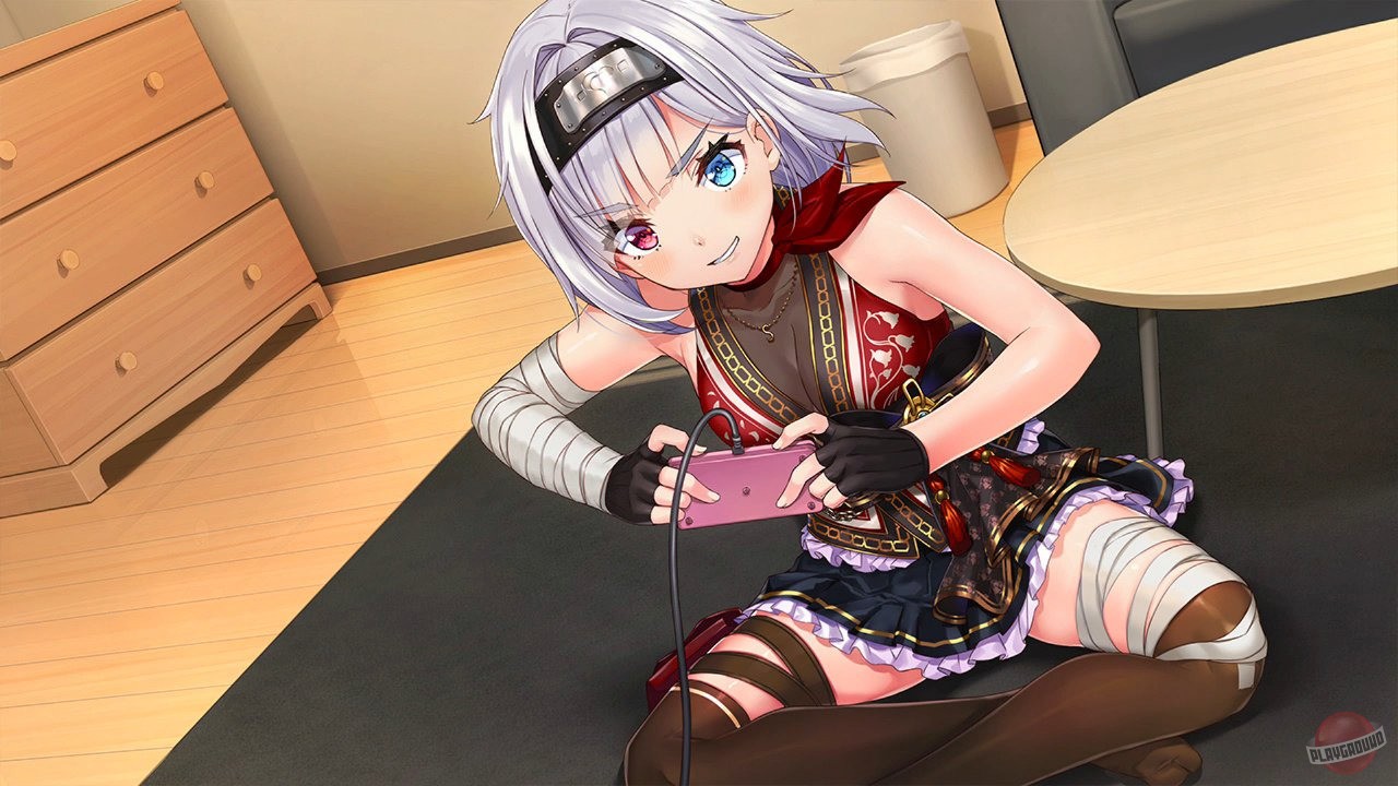 Скриншот из игры NinNinDays2 - 6