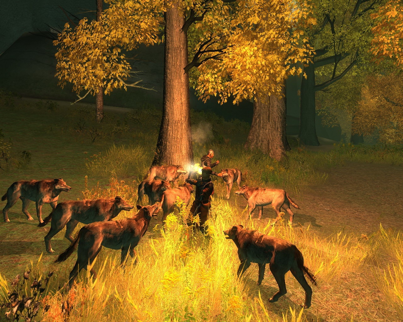 Скриншот из игры Drakensang: The Dark Eye - 97