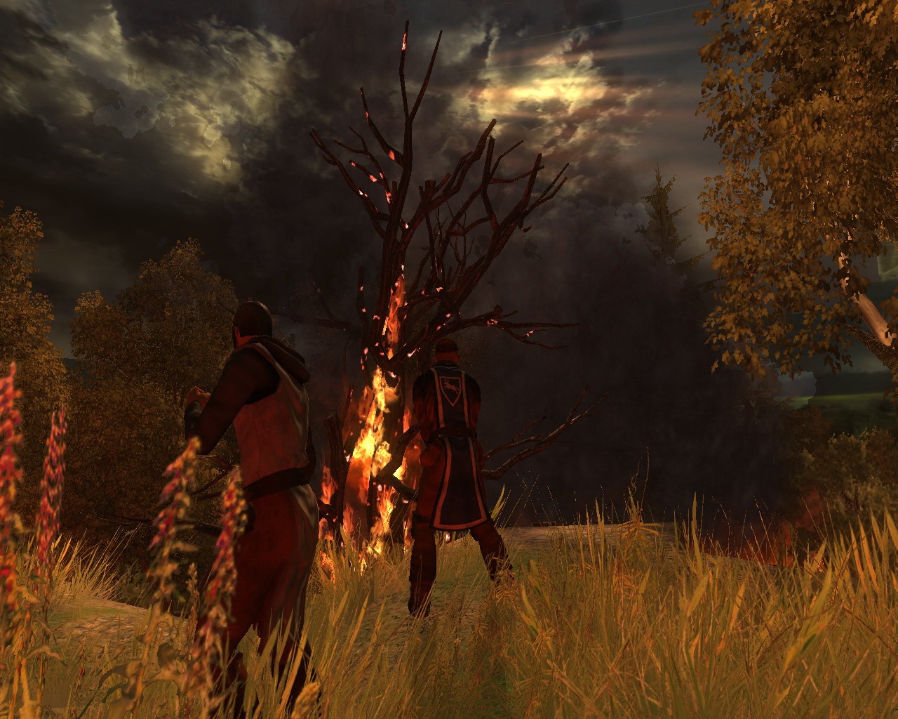 Скриншот из игры Drakensang: The Dark Eye - 13