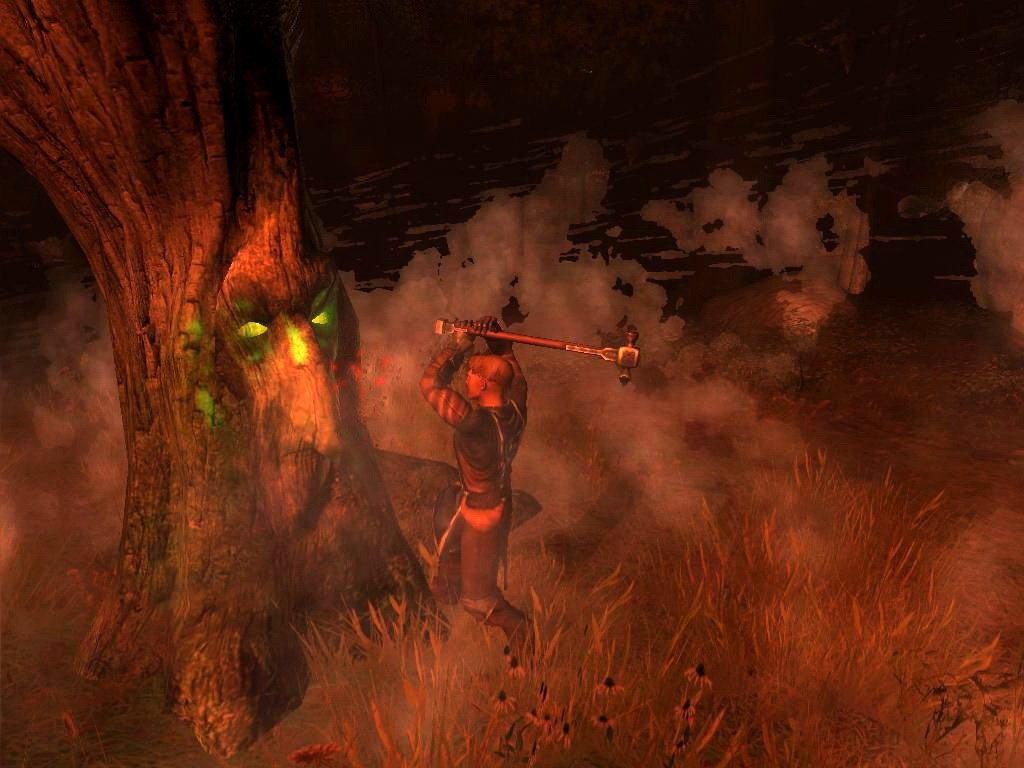 Скриншот из игры Drakensang: The Dark Eye - 3