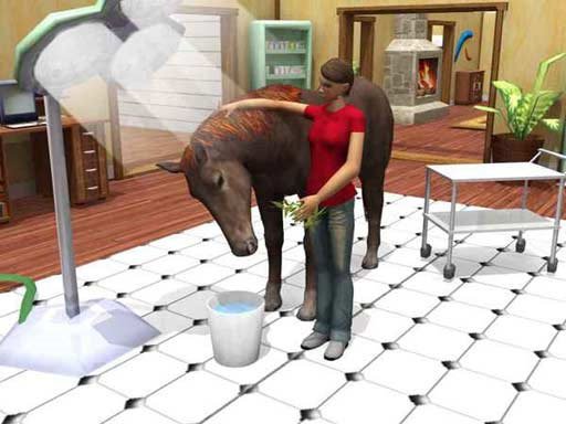 Скриншот из игры Paws & Claws Pet Vet: Australian Adventures - 1