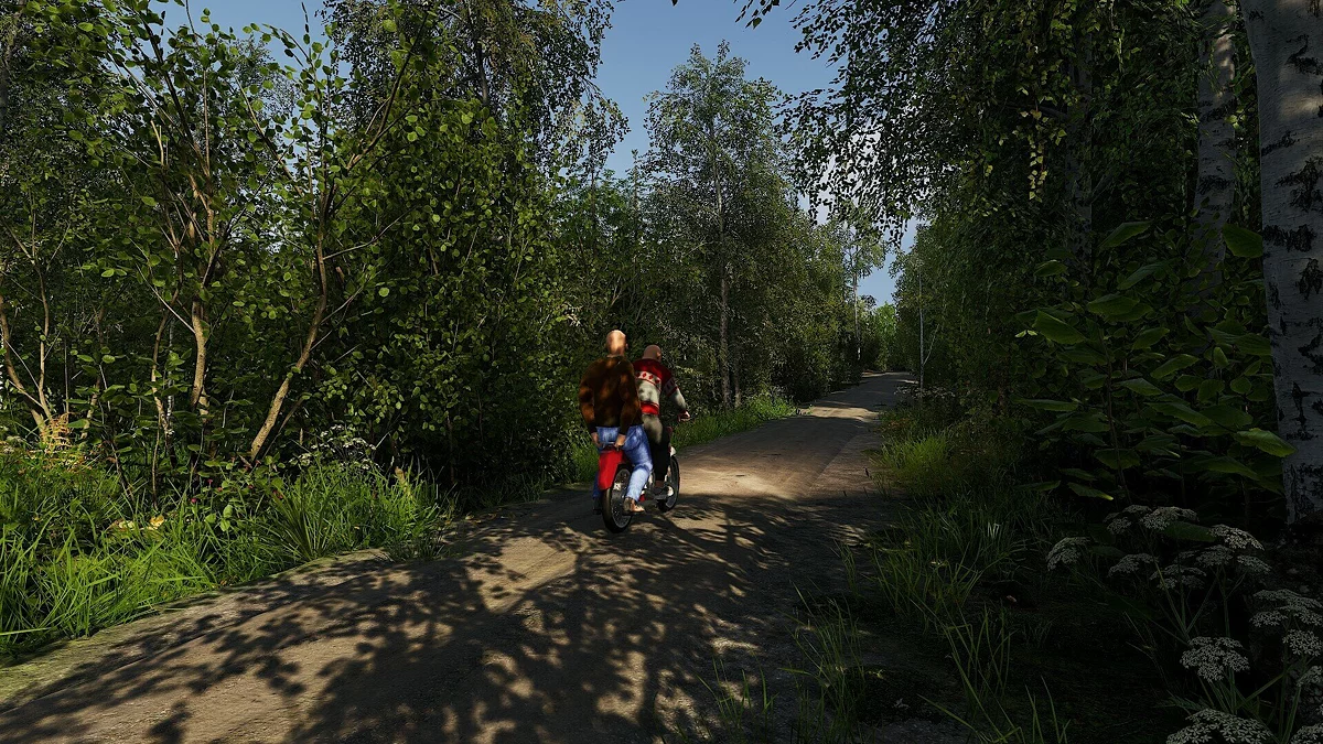 Скриншот из игры Finnish Cottage Simulator - 4