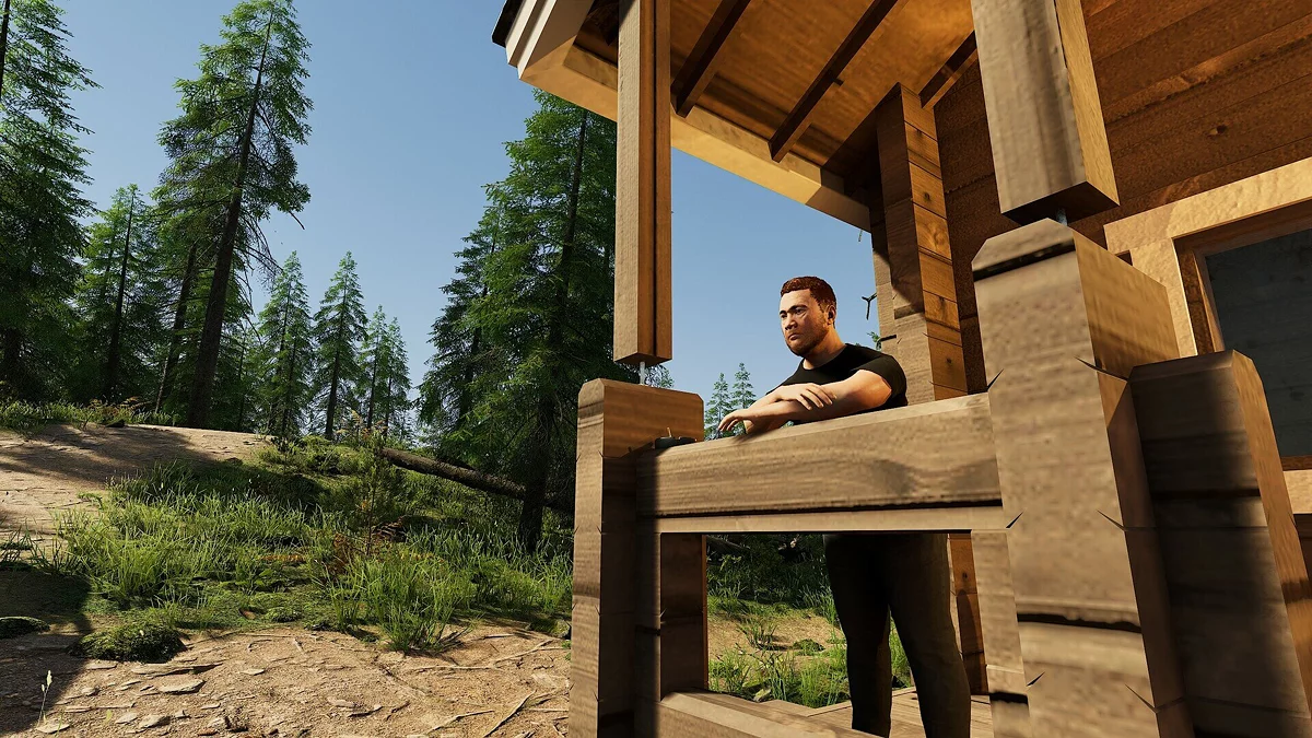 Скриншот из игры Finnish Cottage Simulator - 8