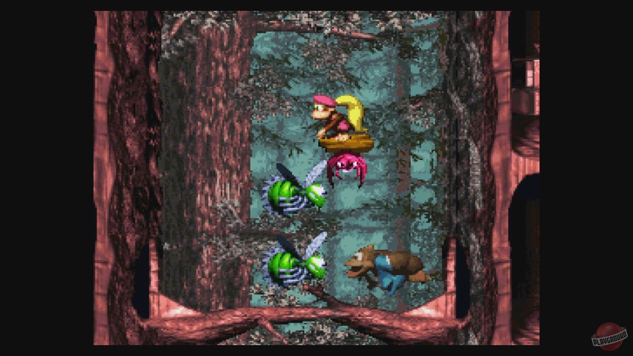 Скриншот из игры Donkey Kong Country 3: Dixie Kong's Double Trouble - 12