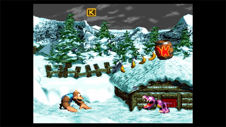 Скриншот из игры Donkey Kong Country 3: Dixie Kong's Double Trouble - 29