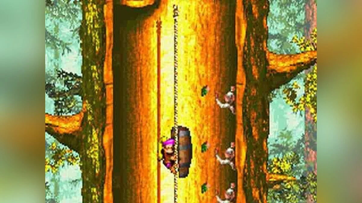 Скриншот из игры Donkey Kong Country 3: Dixie Kong's Double Trouble - 9
