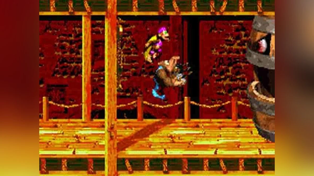 Скриншот из игры Donkey Kong Country 3: Dixie Kong's Double Trouble - 21
