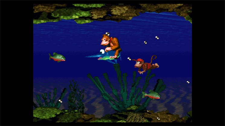 Скриншот из игры Donkey Kong Country - 33