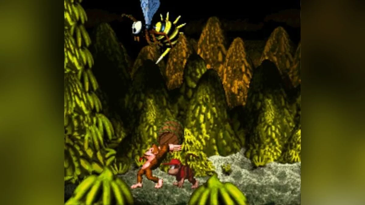 Скриншот из игры Donkey Kong Country - 5
