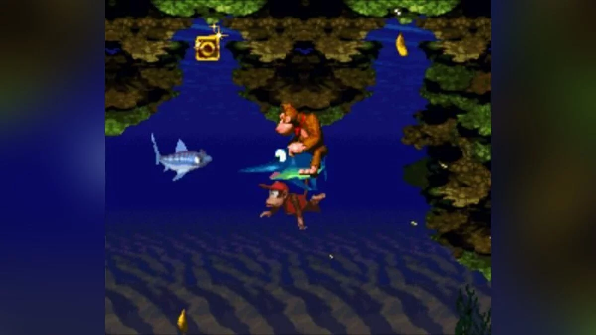 Скриншот из игры Donkey Kong Country - 7
