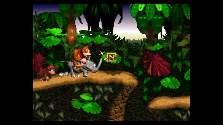 Скриншот из игры Donkey Kong Country - 3
