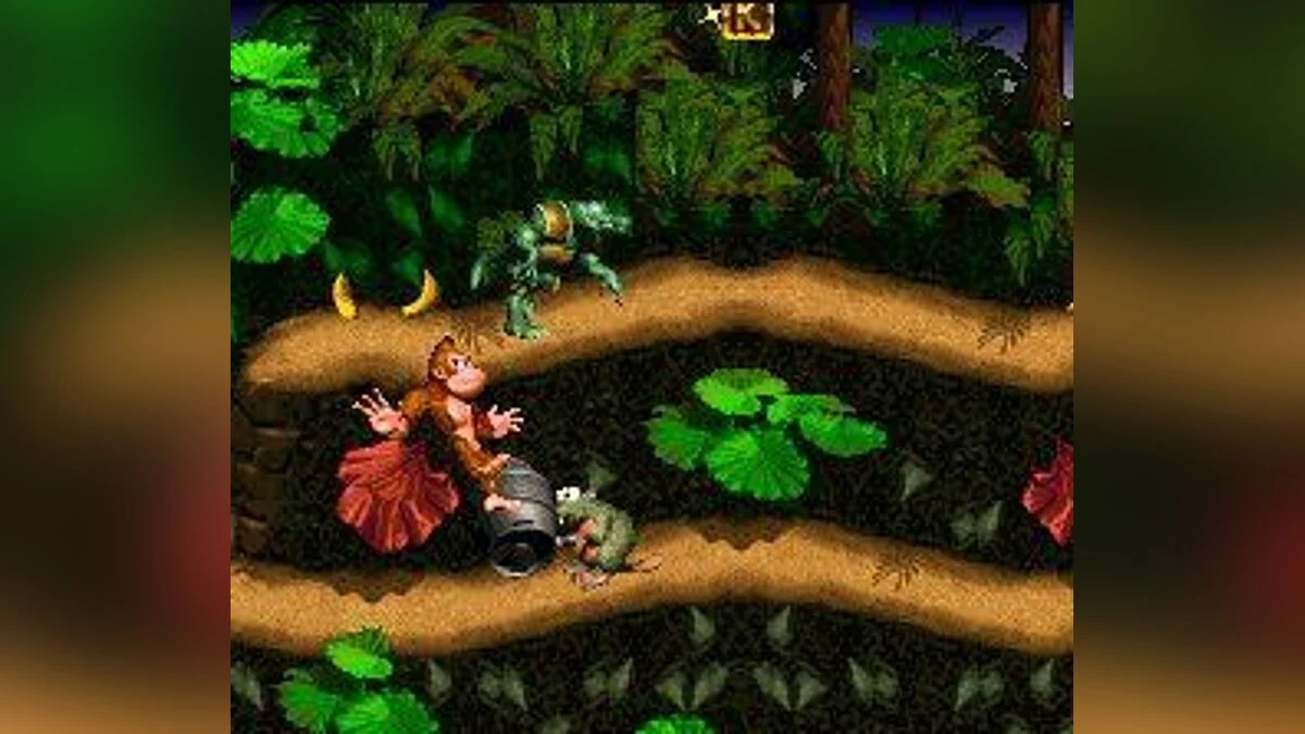 Скриншот из игры Donkey Kong Country - 22
