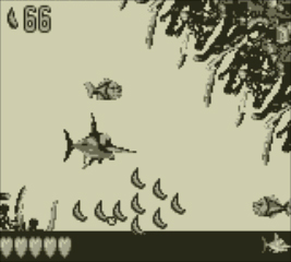 Скриншот из игры Donkey Kong Land 3 - 29