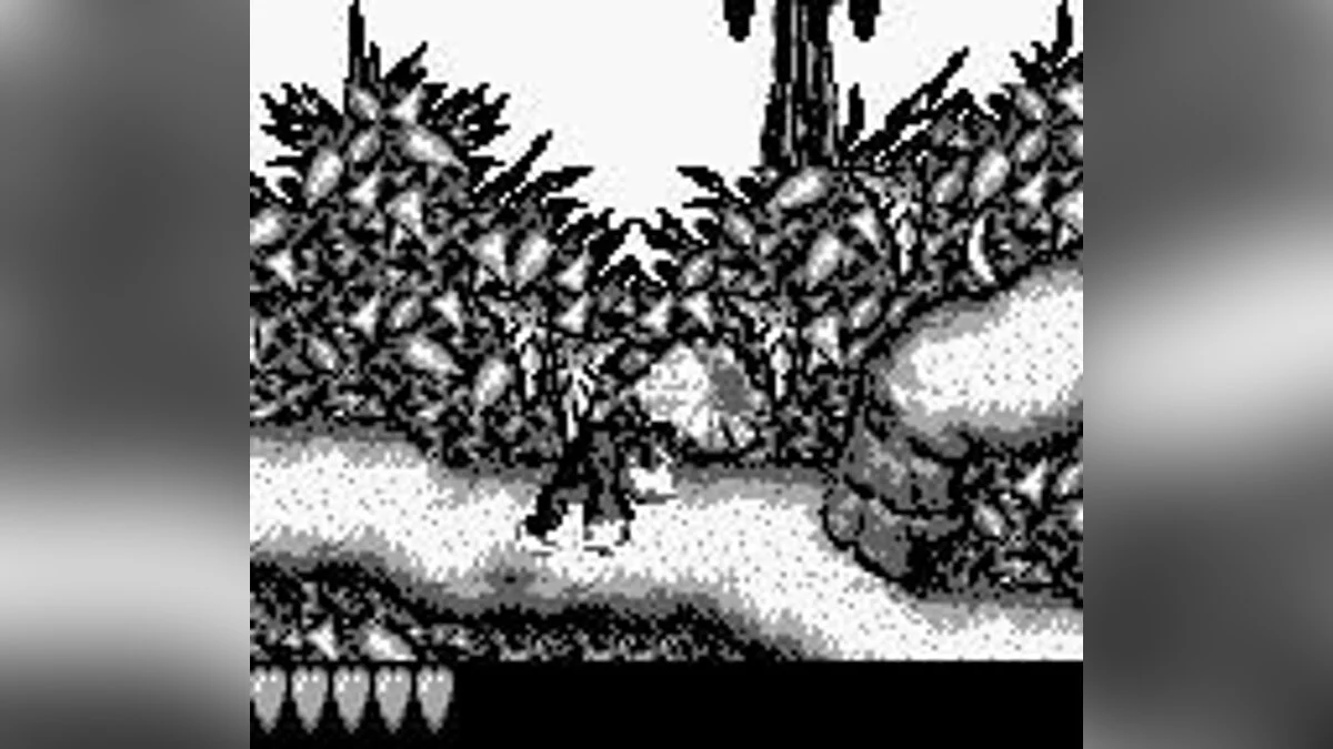 Скриншот из игры Donkey Kong Land - 3