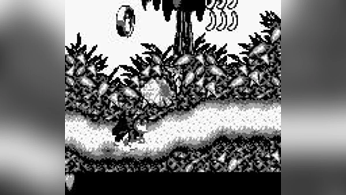 Скриншот из игры Donkey Kong Land - 10