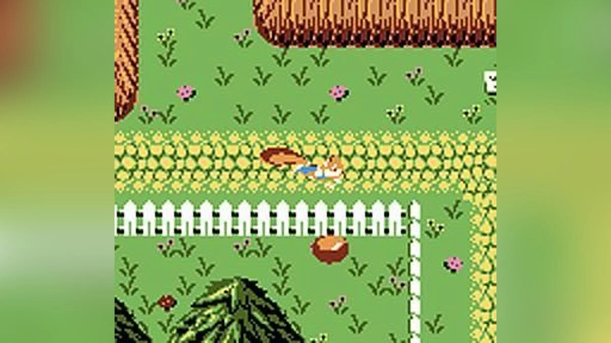 Скриншот из игры Conker's Pocket Tales - 4