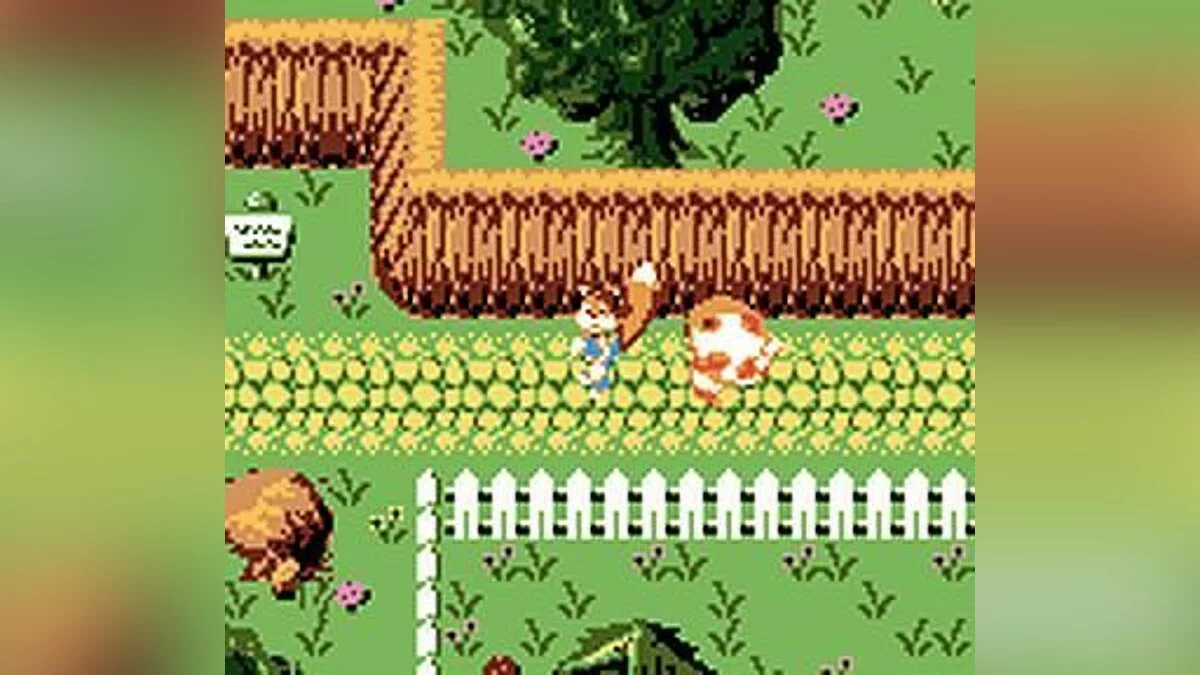 Скриншот из игры Conker's Pocket Tales - 5