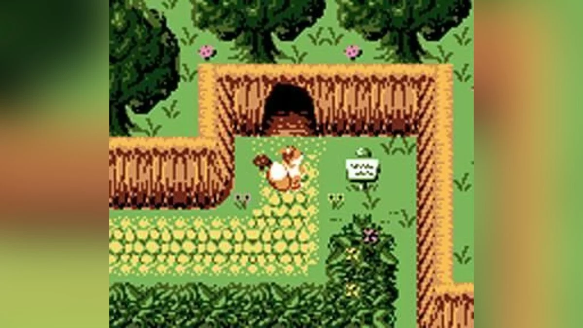 Скриншот из игры Conker's Pocket Tales - 3