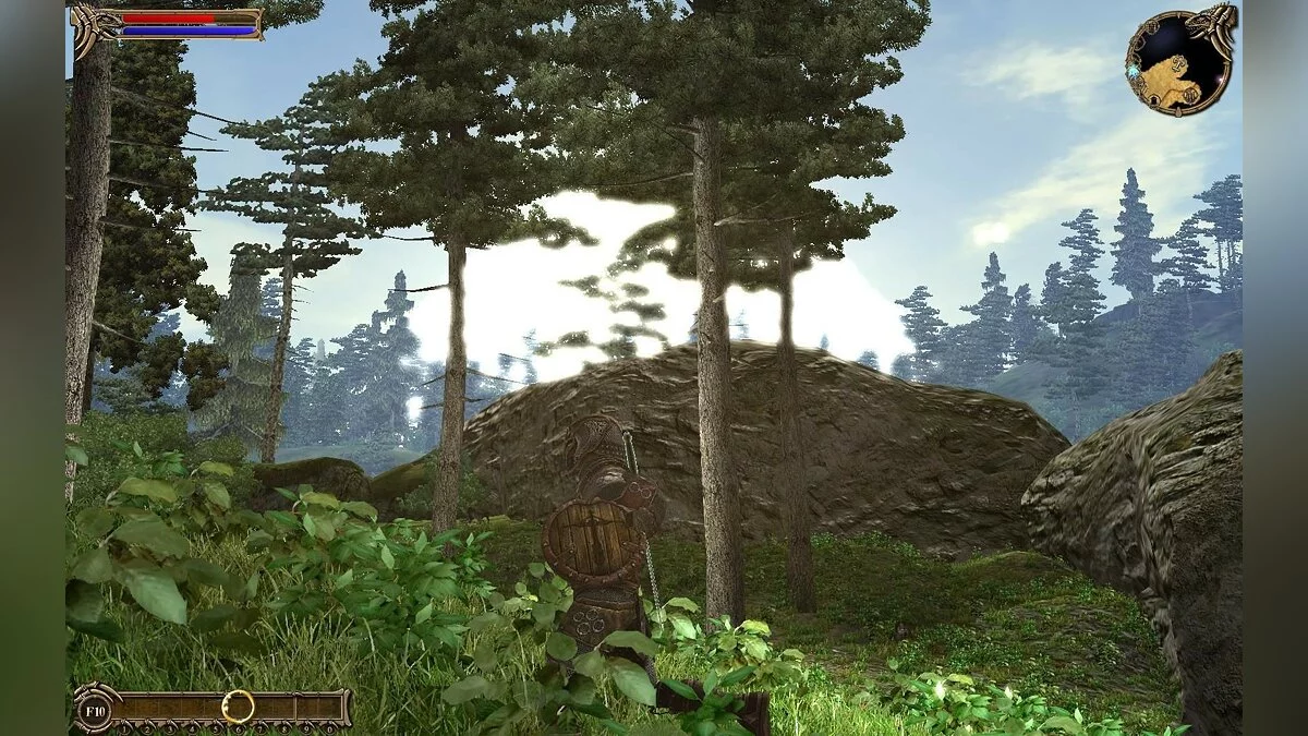 Скриншот из игры Two Worlds - 11