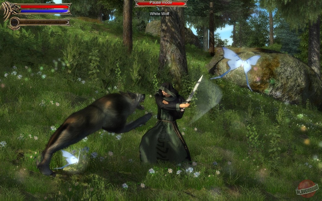 Скриншот из игры Two Worlds - 39