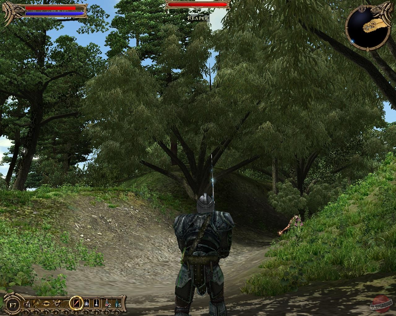 Скриншот из игры Two Worlds - 50