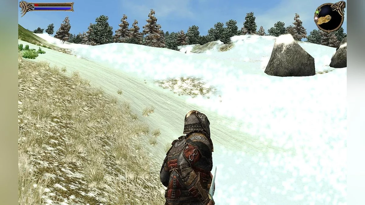 Скриншот из игры Two Worlds - 25