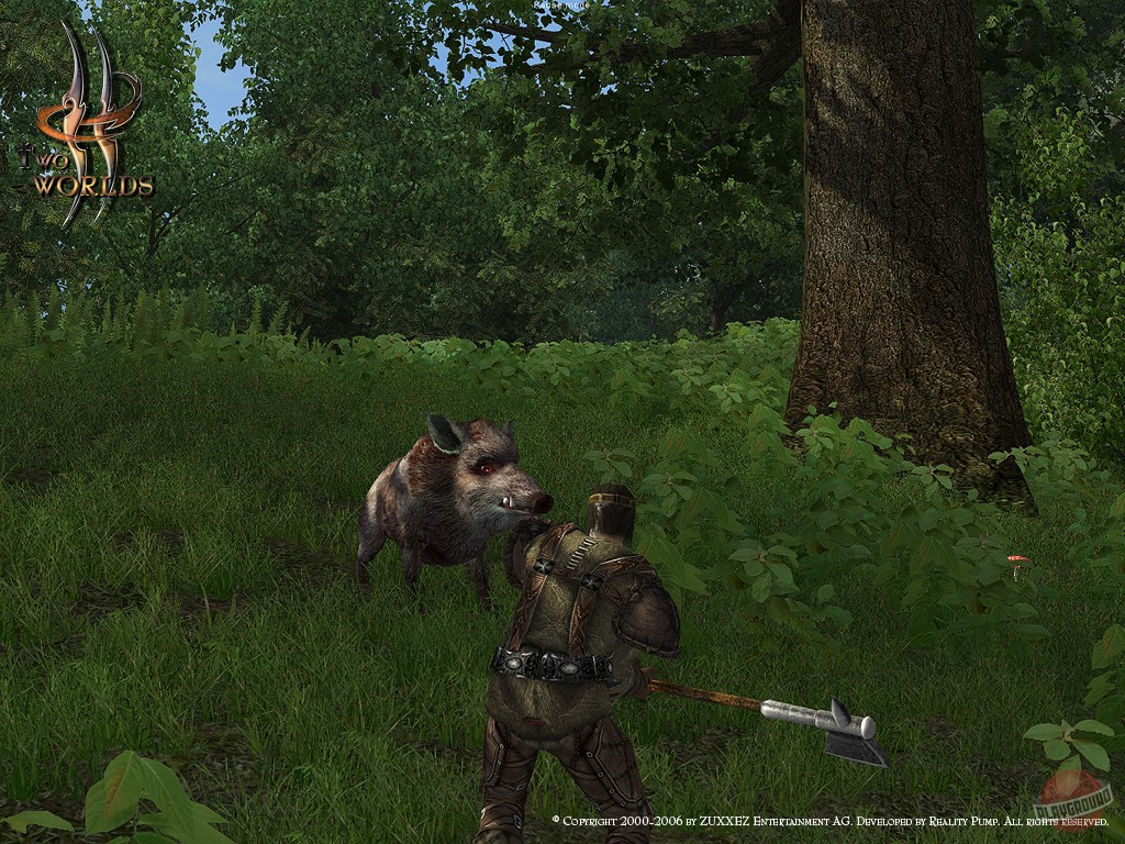 Скриншот из игры Two Worlds - 106