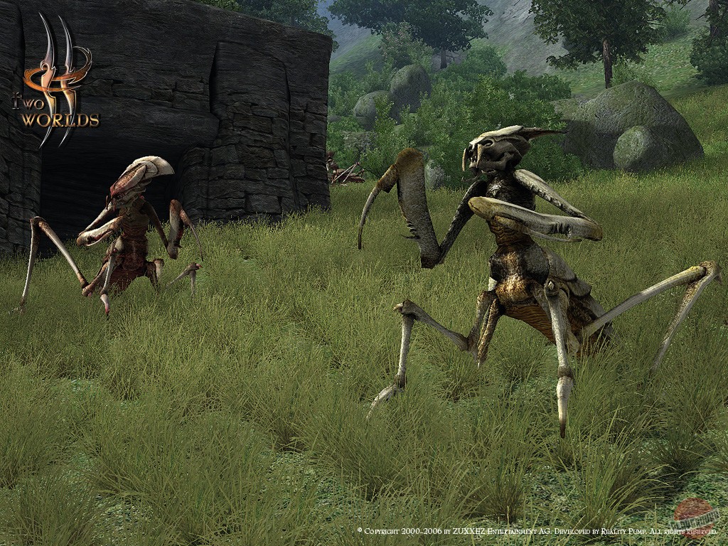Скриншот из игры Two Worlds - 107