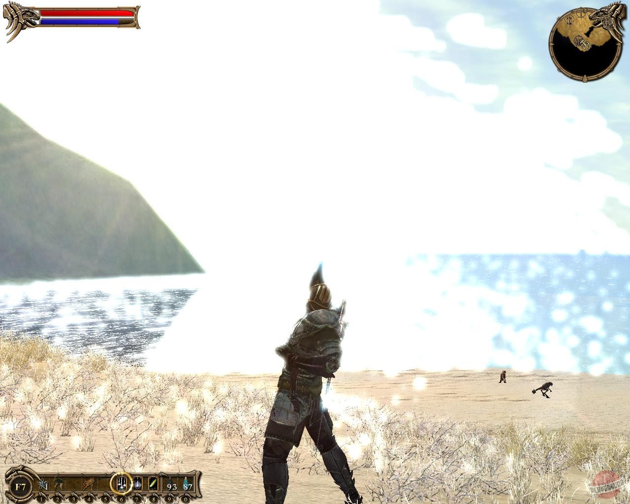 Скриншот из игры Two Worlds - 102