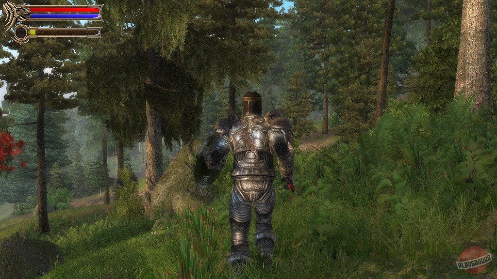 Скриншот из игры Two Worlds - 49