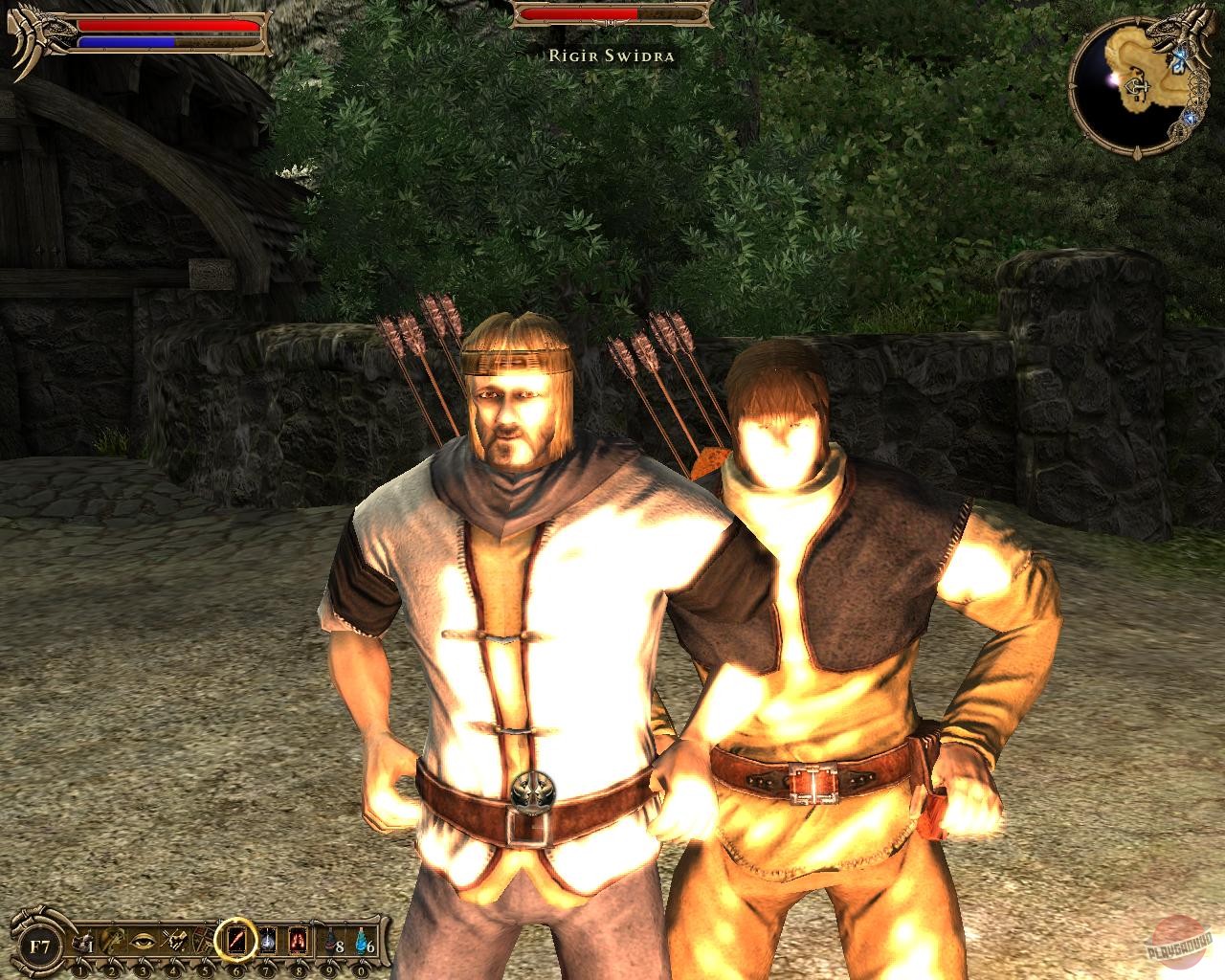 Скриншот из игры Two Worlds - 14