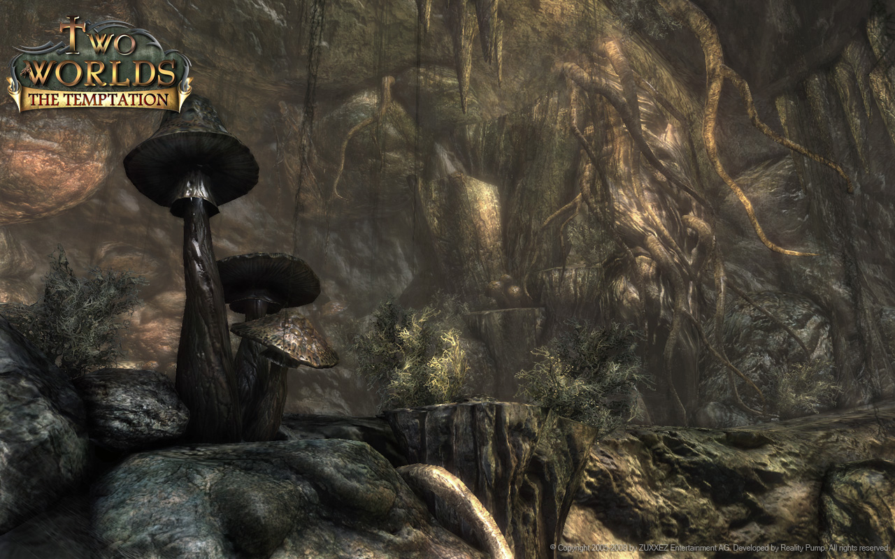 Скриншот из игры Two Worlds 2 - 122